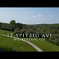 Videography